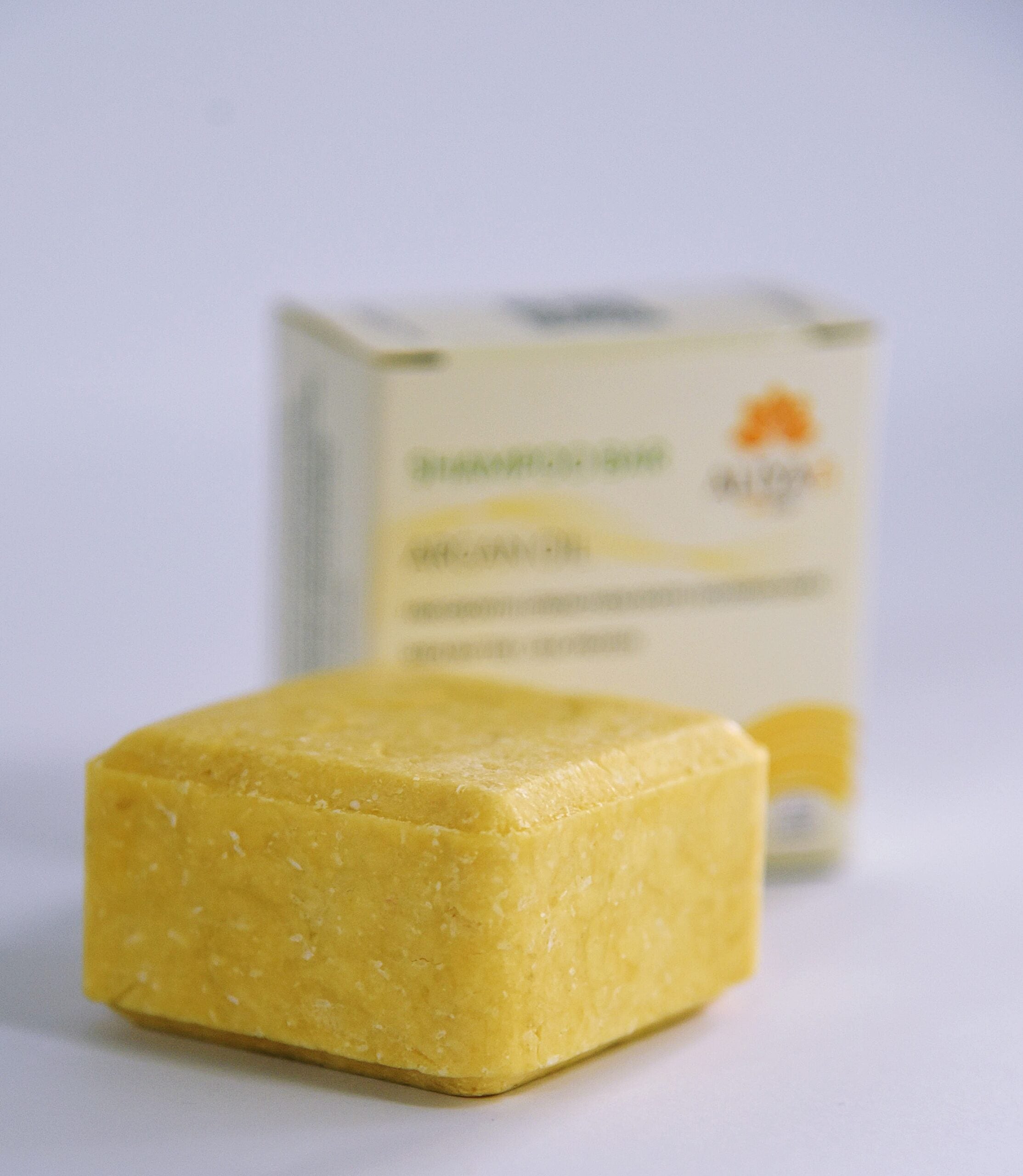 Argan Oil Shampoo Bar with Shea butter & Silk Protein (72g)